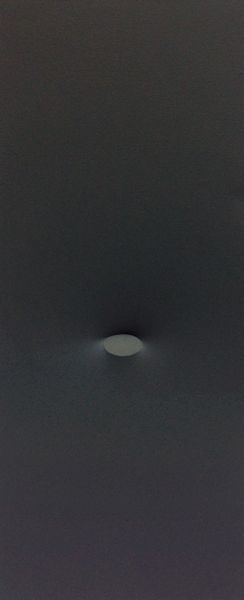 Turi Simeti : Un ovale nero  - Asta Asta arte moderna e contemporanea  - Associazione Nazionale - Case d'Asta italiane