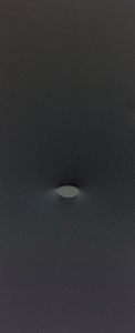 Turi Simeti - Un ovale nero