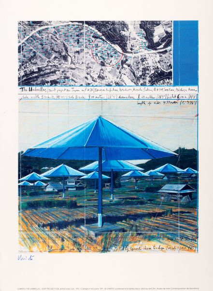 ,Christo : The umbrellas, joint project for Japan and Usa, 1991  - Asta Grafica internazionale e Multipli d'Autore - Associazione Nazionale - Case d'Asta italiane