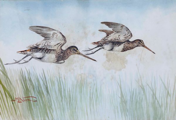 ,Mario Norfini : Volatili  - Asta Dipinti del XIX e XX secolo | Cambi Time - Associazione Nazionale - Case d'Asta italiane