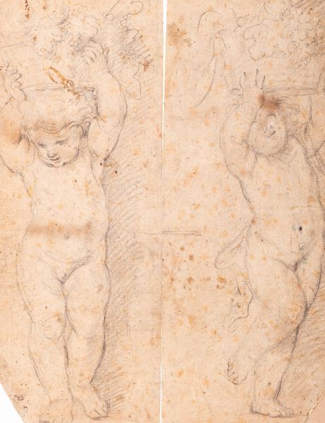 ,Sebastiano  Conca : Studio di due putti con cesti di fiori e frutti sulla testa  - Asta Dipinti e Disegni Antichi - Associazione Nazionale - Case d'Asta italiane