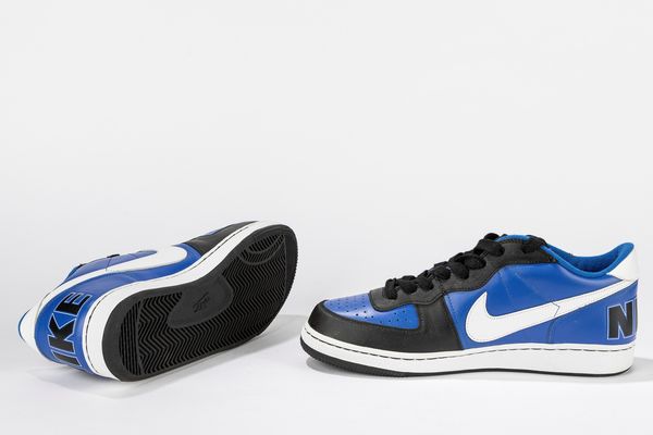 ,NIKE : Terminator Low - Taglia US 12 EUR 46  - Asta Sneakerhead: la prima asta di sneakers in Italia - Associazione Nazionale - Case d'Asta italiane