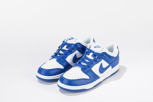 ,NIKE - Dunk Low SP Kentucky - Taglia US 9 EUR 42.5