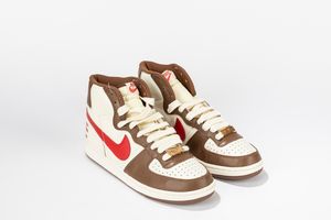 ,NIKE - Terminator High Slam Jam Brown / White-Red - Taglia US 10 EUR 44
