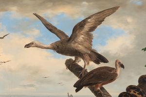 ,Francesco Inganni : L'uscita dall'arca di No dopo il Diluvio Universale  - Asta Arte figurativa tra XIX e XX Secolo - Associazione Nazionale - Case d'Asta italiane