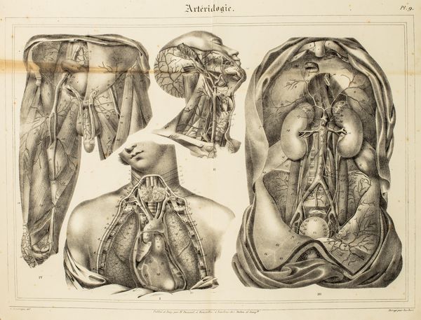 ,A. Jaubert : Atlas anatomique. Quinze planches d'apres Jules Cloquet  - Asta Libri, Autografi e Stampe - Associazione Nazionale - Case d'Asta italiane