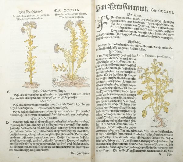 ,Leonhart Fuchs : Den nieuwen herbarius, dat is, dboeck vanden cruyden int welcke met groote neersticheyt bescreuen is niet alleen die gantse historie ... Door den Hoochgheleerden Doctoor in Medicijnen Leonhaert Fuchs  - Asta Libri, Autografi e Stampe - Associazione Nazionale - Case d'Asta italiane