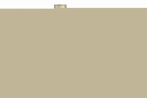 ,Cicerone, Marco Tullio : Philosophicorum volumen secundum. Post postremam Naugerianam et Victorianam correctionem.  - Asta Libri, Autografi e Stampe - Associazione Nazionale - Case d'Asta italiane