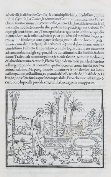 ,Colonna, Francesco : Hypnerotomachia Poliphili, ubi humana omnia non nisi somnium esse docet atque obiter plurima scitu sanequam digna commemorat  - Asta Libri, Autografi e Stampe - Associazione Nazionale - Case d'Asta italiane
