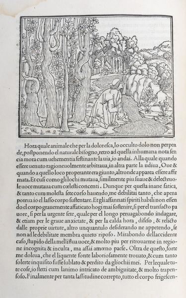 ,Colonna, Francesco : Hypnerotomachia Poliphili, ubi humana omnia non nisi somnium esse docet atque obiter plurima scitu sanequam digna commemorat  - Asta Libri, Autografi e Stampe - Associazione Nazionale - Case d'Asta italiane
