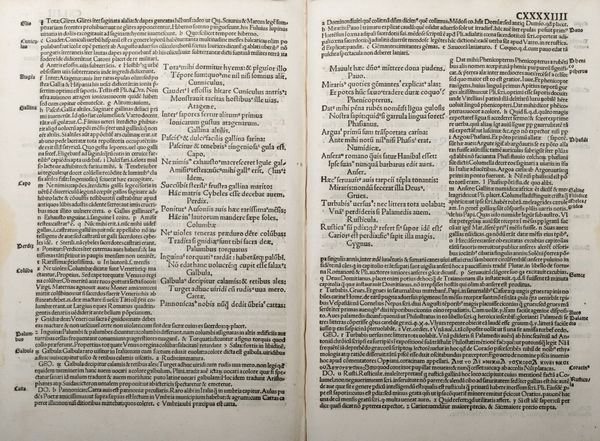 ,Marziale, Marco Valerio : Martialis cum duobus commentis  - Asta Libri, Autografi e Stampe - Associazione Nazionale - Case d'Asta italiane