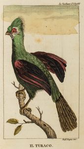 ,François Le Vaillant : Primo viaggio nell'interno dell'Africa pel Capo di Buona Speranza  - Asta Libri, Autografi e Stampe - Associazione Nazionale - Case d'Asta italiane