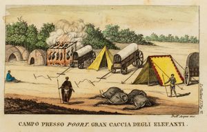 ,François Le Vaillant : Primo viaggio nell'interno dell'Africa pel Capo di Buona Speranza  - Asta Libri, Autografi e Stampe - Associazione Nazionale - Case d'Asta italiane