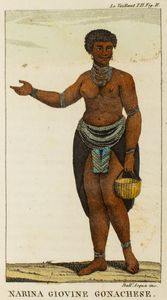 ,François Le Vaillant : Primo viaggio nell'interno dell'Africa pel Capo di Buona Speranza  - Asta Libri, Autografi e Stampe - Associazione Nazionale - Case d'Asta italiane