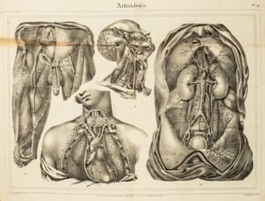 ,A. Jaubert - Atlas anatomique. Quinze planches d'apres Jules Cloquet