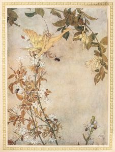 ,Edmund Dulac : La Tempesta. Traduzione di Diego Angeli con illustrazioni di Edmondo Dulac  - Asta Libri, Autografi e Stampe - Associazione Nazionale - Case d'Asta italiane