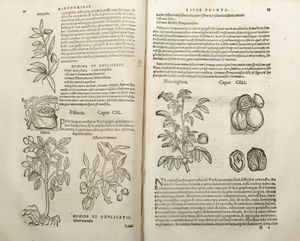 ,Dioscoride, Pedanio - De medicinali Materia Libri Sex