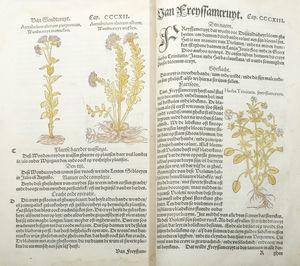 ,Leonhart Fuchs : Den nieuwen herbarius, dat is, dboeck vanden cruyden int welcke met groote neersticheyt bescreuen is niet alleen die gantse historie ... Door den Hoochgheleerden Doctoor in Medicijnen Leonhaert Fuchs  - Asta Libri, Autografi e Stampe - Associazione Nazionale - Case d'Asta italiane