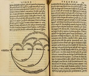 ,Mario Equicola : Libro di natura d'amore ... nuovamente stampato, et con somma diligentia corretto.  - Asta Libri, Autografi e Stampe - Associazione Nazionale - Case d'Asta italiane