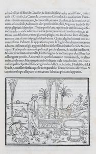 ,Colonna, Francesco : Hypnerotomachia Poliphili, ubi humana omnia non nisi somnium esse docet atque obiter plurima scitu sanequam digna commemorat  - Asta Libri, Autografi e Stampe - Associazione Nazionale - Case d'Asta italiane