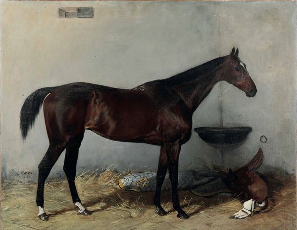 Julius Von Blaas (Albano 1845 - Albano 1923) Cavallo  - Asta Dipinti antichi - Associazione Nazionale - Case d'Asta italiane