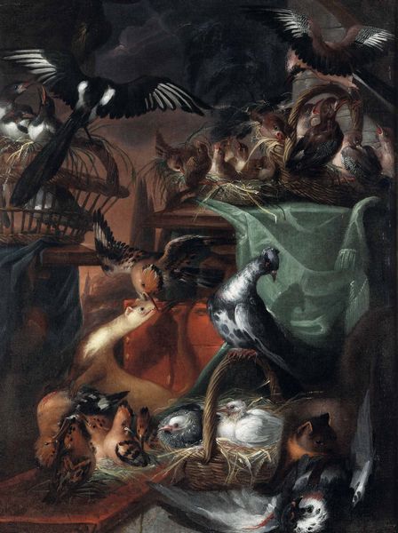 Artista fiammingo del XVIII secolo Nature vive  - Asta Dipinti antichi - Associazione Nazionale - Case d'Asta italiane