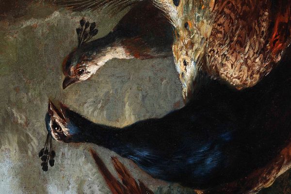 Giovanni Crivelli detto il Crivellino : Veduta di giardino con pavoni, fagiano e coniglietti  - Asta Dipinti antichi - Associazione Nazionale - Case d'Asta italiane