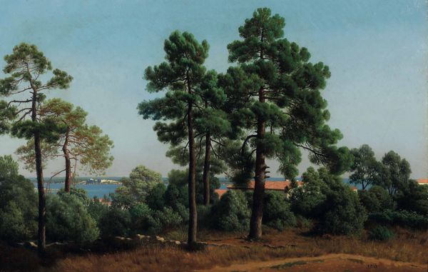 Jacques Carabain : Veduta di Cap Ferrat  - Asta Dipinti antichi - Associazione Nazionale - Case d'Asta italiane