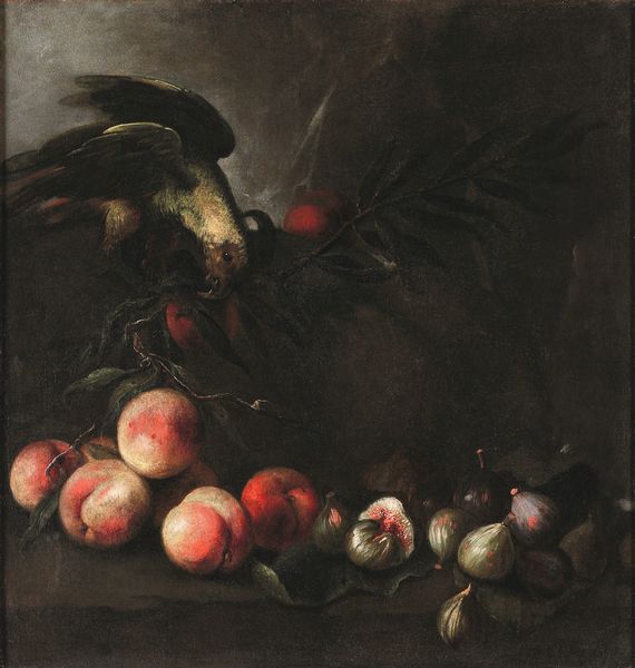 Scuola del XVII secolo Nature morte con pappagalli e frutta  - Asta Dipinti antichi - Associazione Nazionale - Case d'Asta italiane