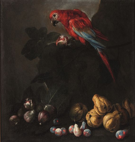 Scuola del XVII secolo Nature morte con pappagalli e frutta  - Asta Dipinti antichi - Associazione Nazionale - Case d'Asta italiane