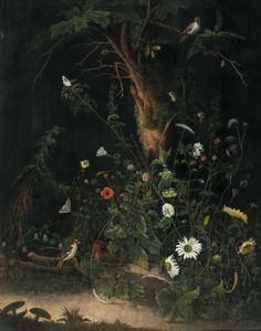 Otto Marseus van Schrieck, nei modi di - Sottobosco