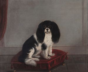 Scuola del XIX secolo Ritratto di cane su cuscino rosso  - Asta Dipinti antichi - Associazione Nazionale - Case d'Asta italiane