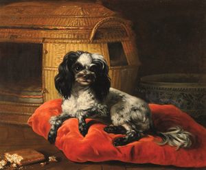 Jean-Jacques Bachelier, Attribuito a : Ritratto di cane su cuscino rosso  - Asta Dipinti antichi - Associazione Nazionale - Case d'Asta italiane