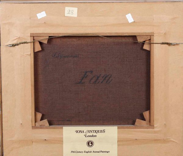 Scuola del XIX secolo Ritratto di cane su cuscino rosso  - Asta Disegni Antichi - Associazione Nazionale - Case d'Asta italiane