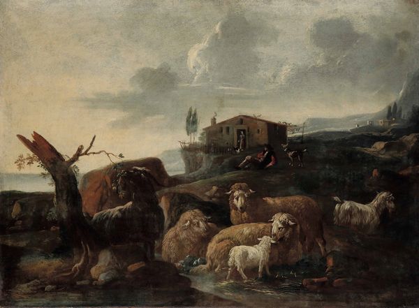 ,Philipp Peter Roos detto Rosa da Tivoli : Paesaggi con pastori e armenti  - Asta Disegni Antichi - Associazione Nazionale - Case d'Asta italiane