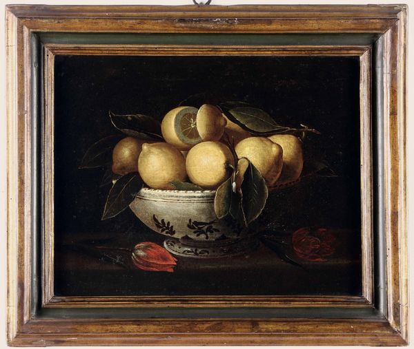 Scuola del XVII secolo Nature morte con frutti  - Asta Disegni Antichi - Associazione Nazionale - Case d'Asta italiane