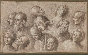 ,Baldassarre Peruzzi - Studio di teste