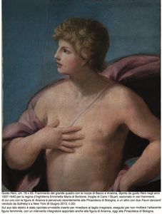 ,Guido Reni copia da - Figura di Bacco