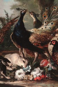 ,Giovanni Crivelli detto il Crivellino : Veduta di giardino con pavoni, fagiano e coniglietti  - Asta Disegni Antichi - Associazione Nazionale - Case d'Asta italiane