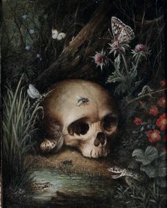 Scuola del nord Europa del XVII secolo Vanitas con teschio e sottobosco  - Asta Disegni Antichi - Associazione Nazionale - Case d'Asta italiane