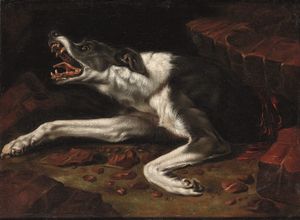 ,Pieter Van Boucle - Cane ferito