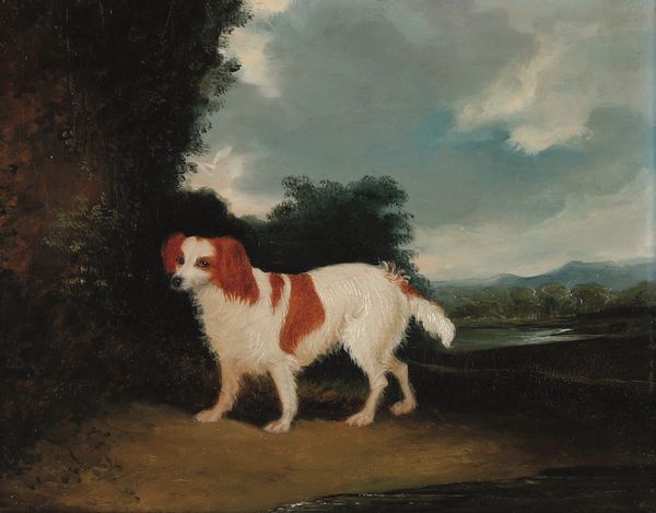 Scuola del XIX secolo Ritratto di cane nel parco  - Asta Old Masters Paintings - Associazione Nazionale - Case d'Asta italiane