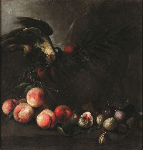 Scuola del XVII secolo Nature morte con pappagalli e frutta  - Asta Old Masters Paintings - Associazione Nazionale - Case d'Asta italiane