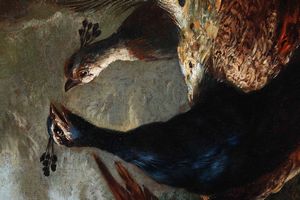 Giovanni Crivelli detto il Crivellino : Veduta di giardino con pavoni, fagiano e coniglietti  - Asta Old Masters Paintings - Associazione Nazionale - Case d'Asta italiane