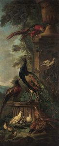Angelo Maria Crivelli detto il Crivellone : Veduta di giardino con pavone, pappagallo e altri volatili  - Asta Old Masters Paintings - Associazione Nazionale - Case d'Asta italiane