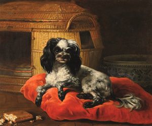 Jean-Jacques Bachelier, Attribuito a - Ritratto di cane su cuscino rosso