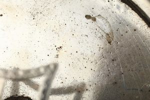Cruet in argento sterling fuso, sbalzato, traforato e cesellato. Londra 1781, argentiere Charles Aldridge & Henry Green  - Asta Argenti da Collezione - Associazione Nazionale - Case d'Asta italiane