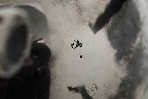 Caffettiera e zuccheriera. Argento fuso, sbalzato e cesellato. Argenteria neoclassica del XIX secolo (Veneto?). Argentiere F.C.  - Asta Argenti antichi  - Associazione Nazionale - Case d'Asta italiane