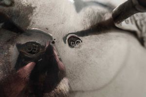 Caffettiera e zuccheriera. Argento fuso, sbalzato e cesellato. Argenteria neoclassica del XIX secolo (Veneto?). Argentiere F.C.  - Asta Argenti antichi  - Associazione Nazionale - Case d'Asta italiane