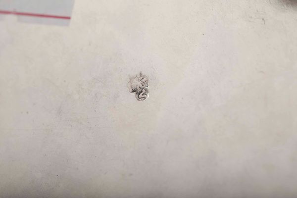 Coppia di alzate. Argento fuso, sbalzato e cesellato. Probabile manifattura veneta, seconda met� del XVIII secolo. Marchio dell'argentiere FV inframezzato da animale rampante (non identificato) e marchi di importazione francesi  - Asta Argenti del XX secolo - Associazione Nazionale - Case d'Asta italiane